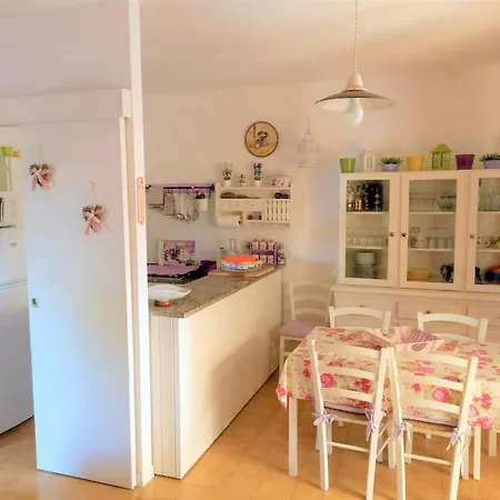 Purple House - Arboriamar Platamona *