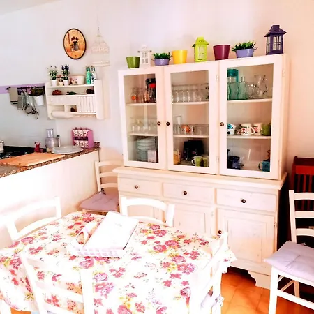 Purple House - Arboriamar Platamona *