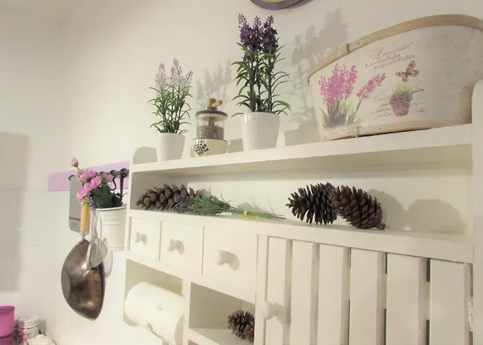 Purple House - Arboriamar Platamona