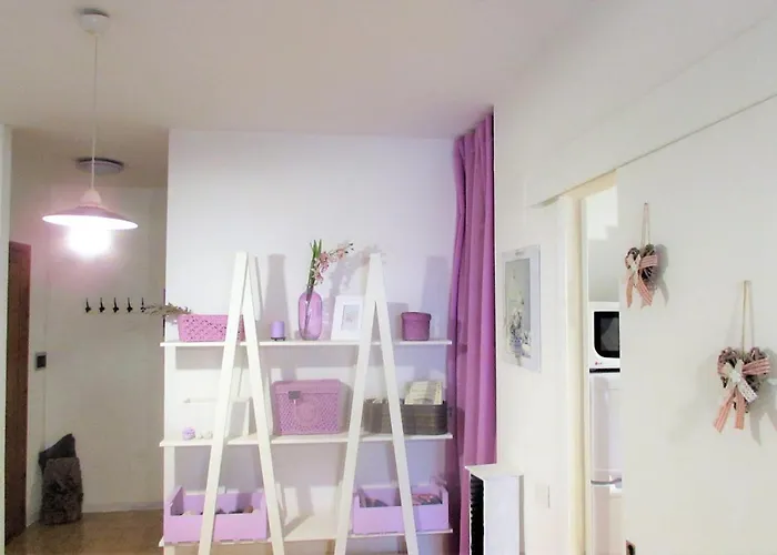 Purple House - Arboriamar Platamona