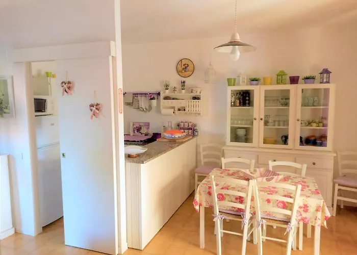 Purple House - Arboriamar Platamona *